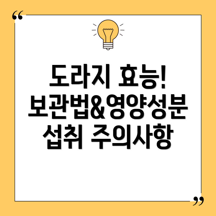 도라지