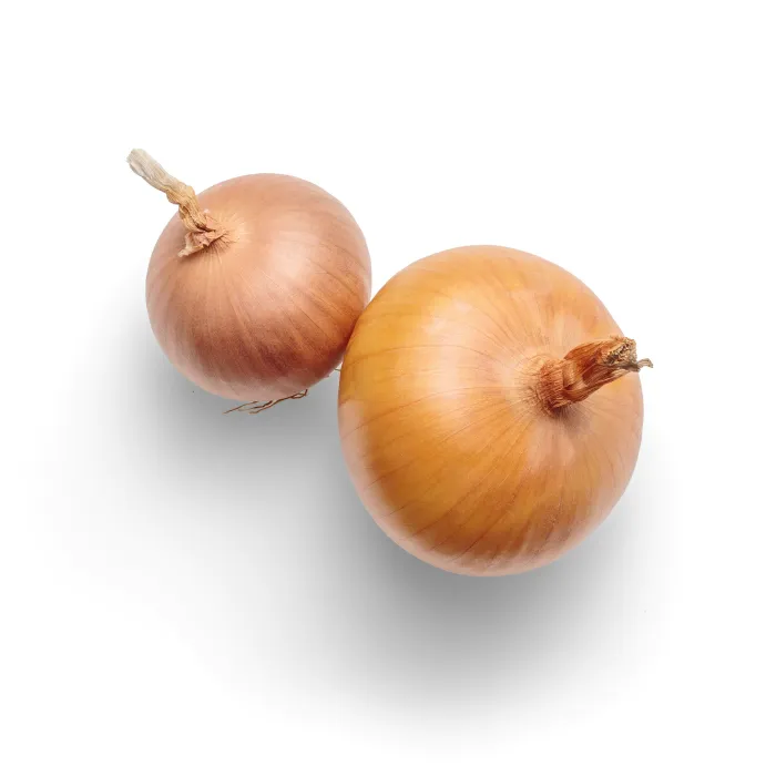 양파-사진