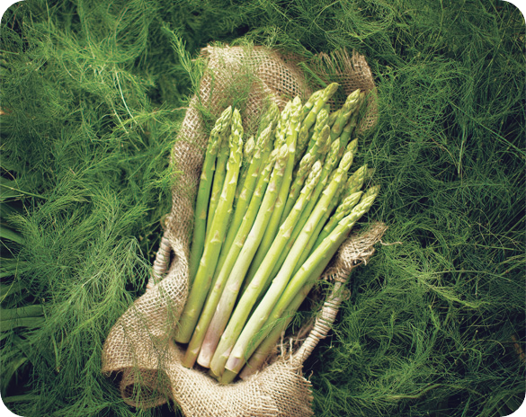 아스파라거스-효능