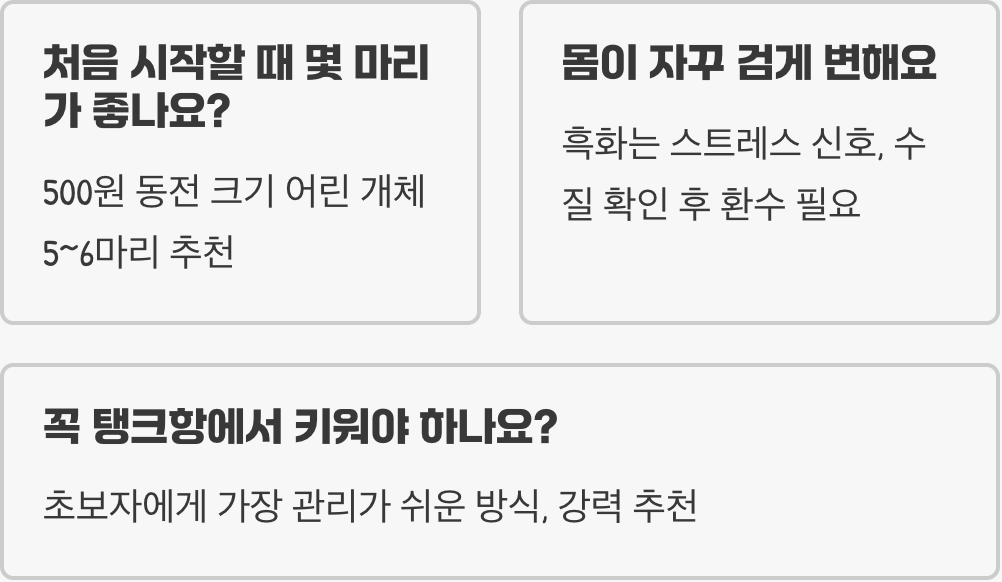 디스커스 키우기 A to Z (어항, 먹이, 수질 관리)