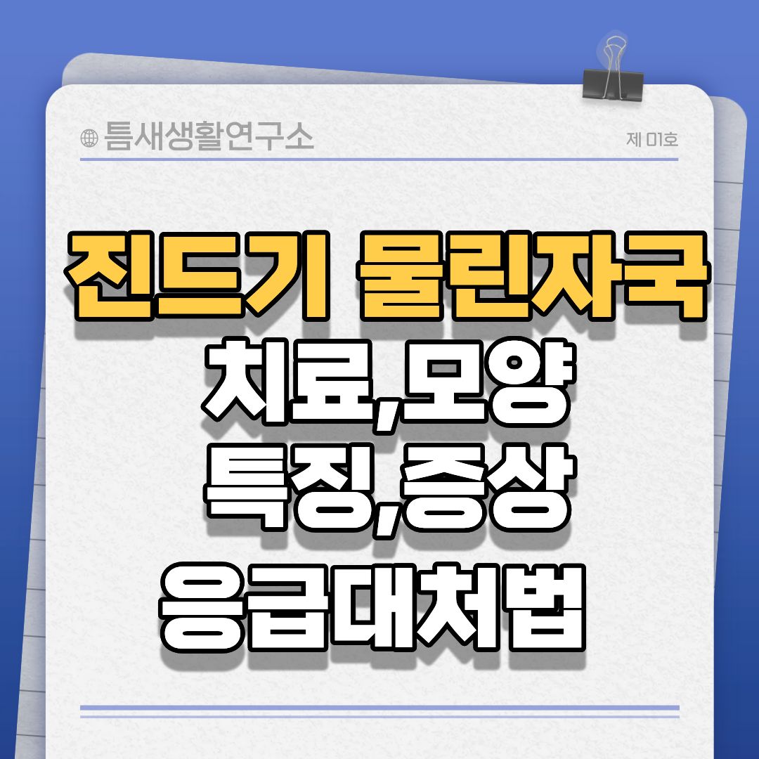 진드기물린자국-썸네일