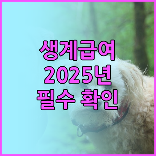 2025 생계급여: 몰라서 손해 보는