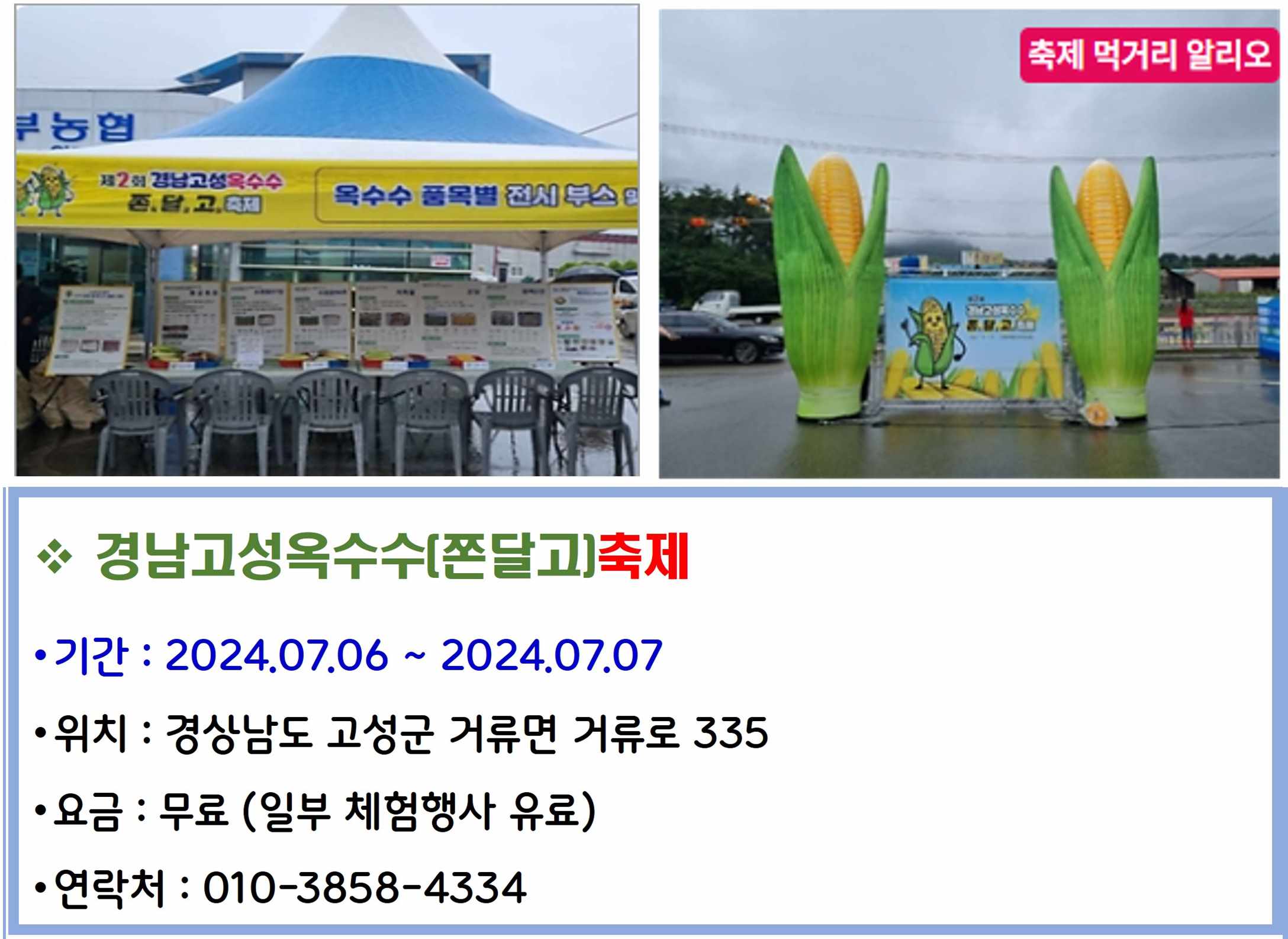 경남고성옥수수 쫀달고 축제