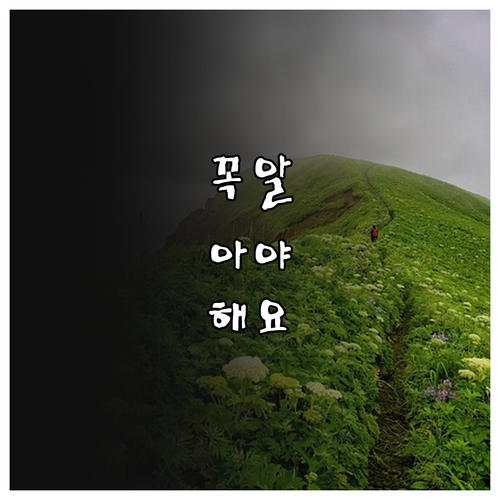 2025 안양시 장수수당, 누가 받고..
