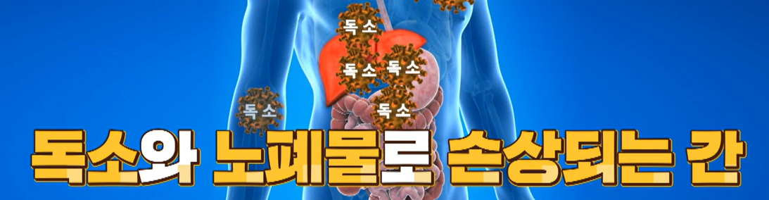 글루타치온 효능