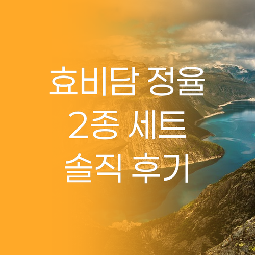 수려한 효비담 정율 2종 세트 솔직 ..