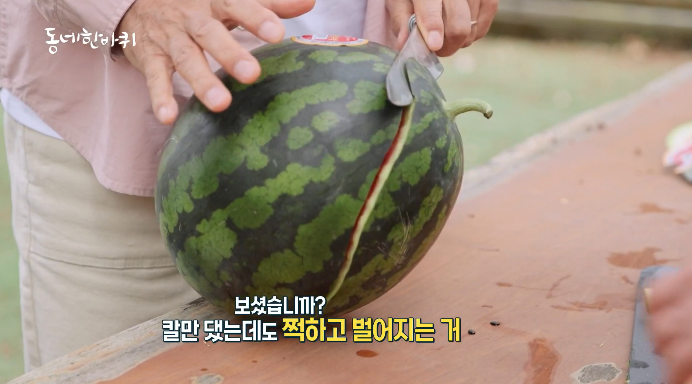 함안수박