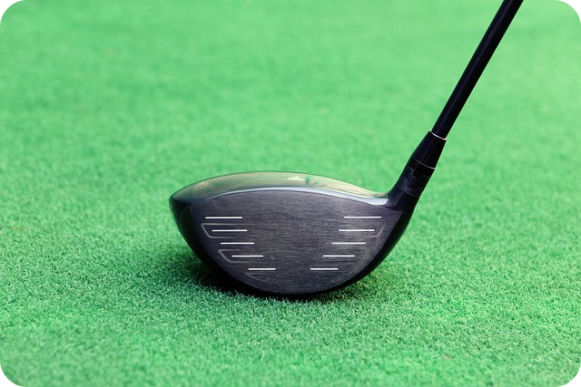 하이브리드 클럽