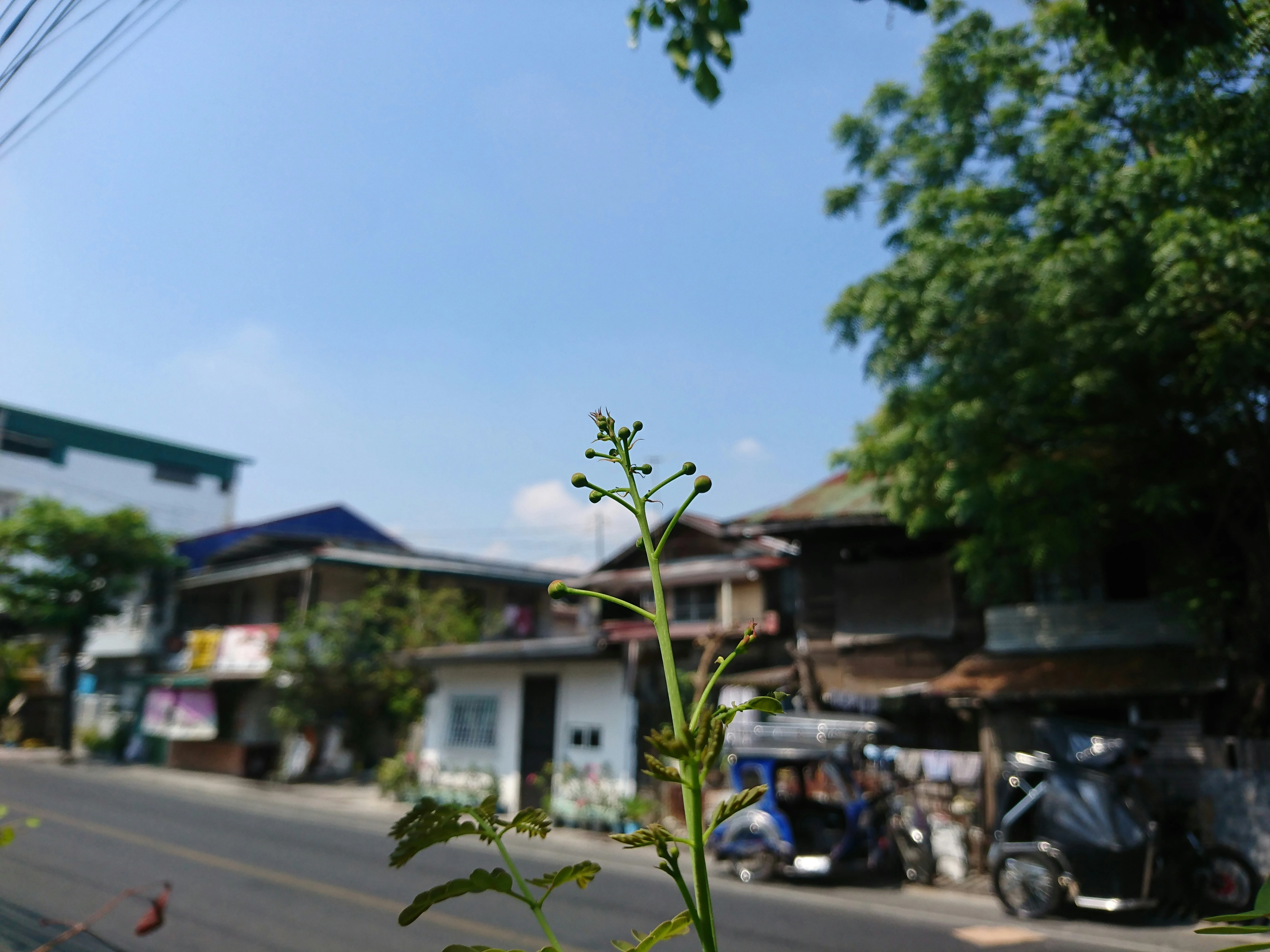 동남아시아 빈딘 마을 투어