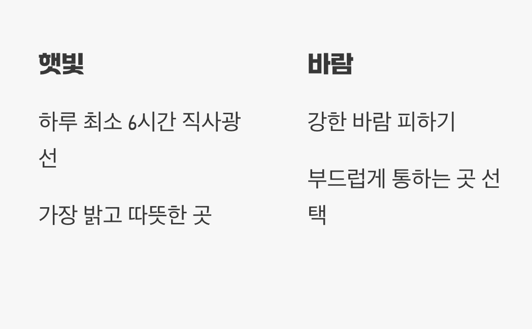 햇살 좋은 명당자리 찾아주기