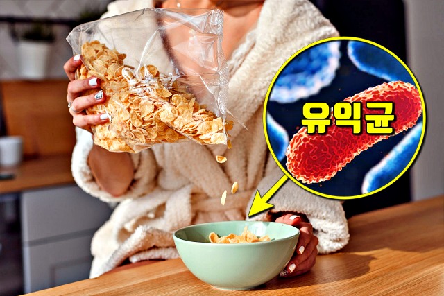 단기간 다이어트 허리 4인치 줄이기 식단 오트밀,팁줌