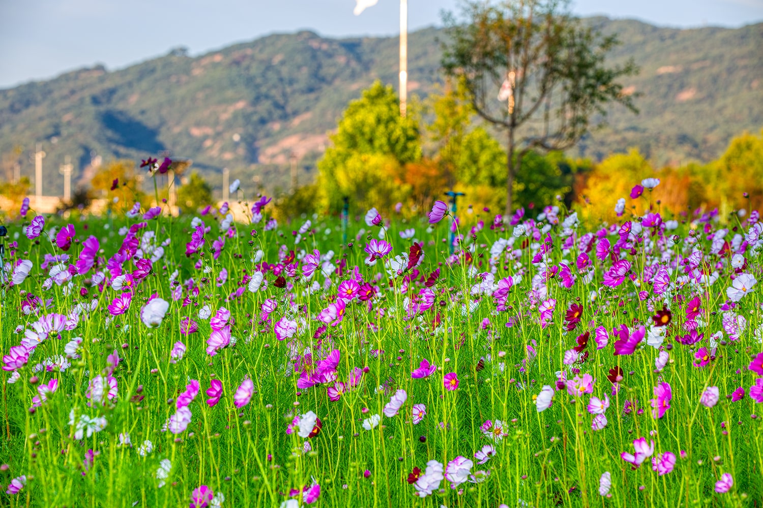 구리 한강공원- 18