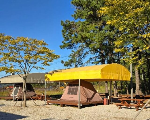 철원 가볼만한곳 베스트 10