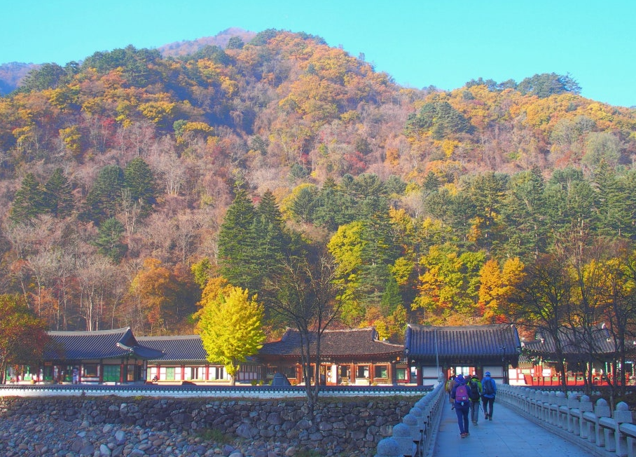 인제 백담사 단풍