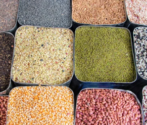 뼈 건강에 좋은 음식 10