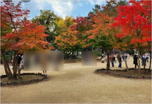 가을에 꼭 가야하는 단풍이 유명한곳 BEST 5곳