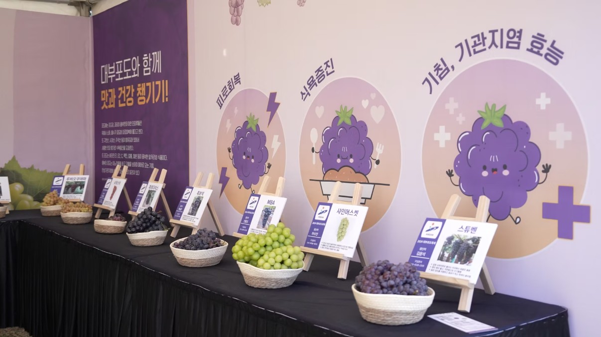 안산 대부포도축제