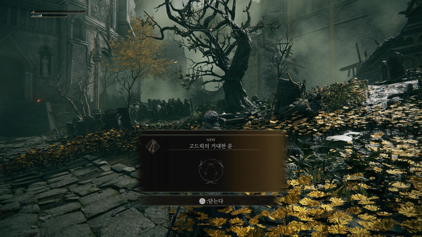 엘든링 게임 사진