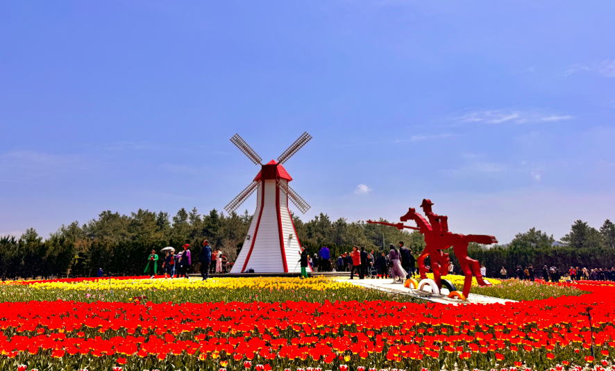 튤립홍매화정원