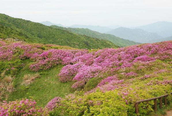 남원 1박2일 여행 코스 사진