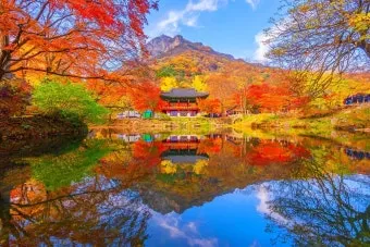 &amp;quot;내장산