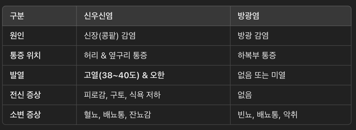 신우신염 vs. 방광염 차이점