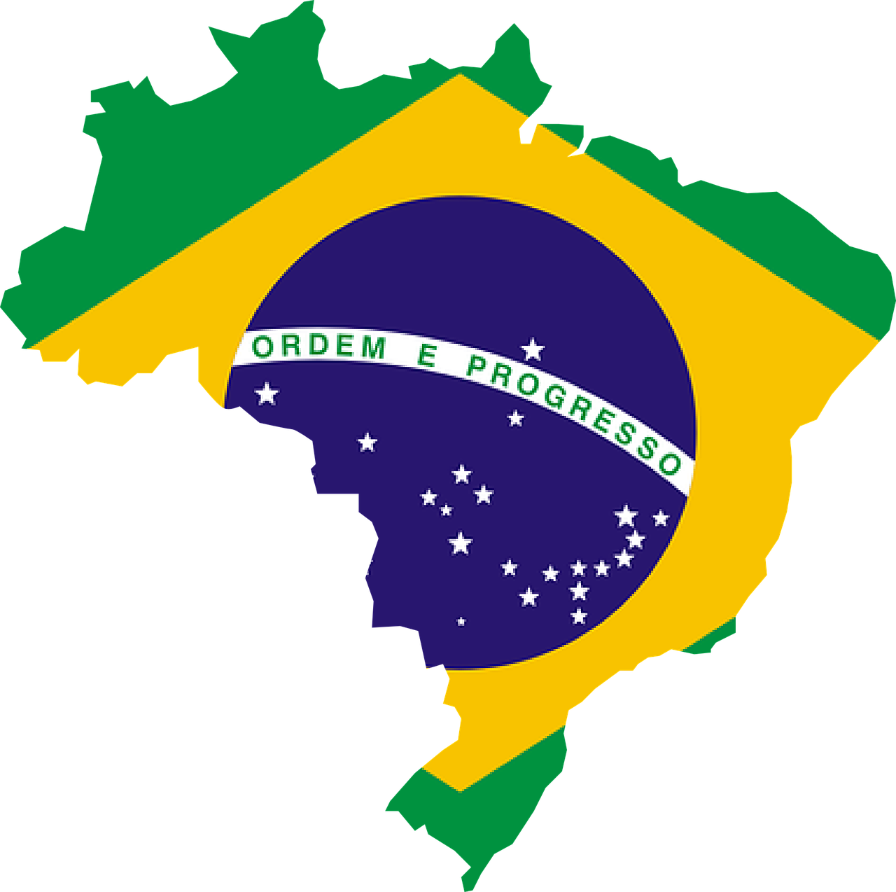 브라질 영토 면적에 그려져 있는 국기