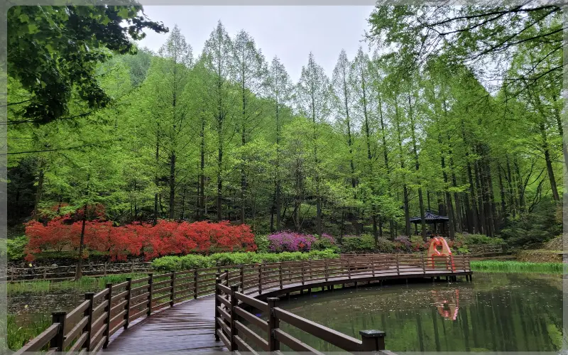 장태산 자연휴양림 예약_1