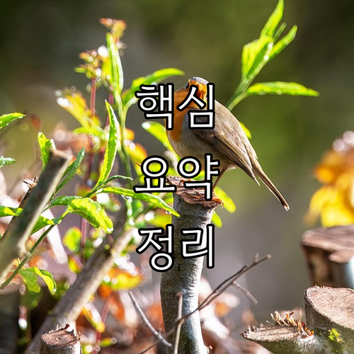 금천구 1인 가구 2025 전입 지원..