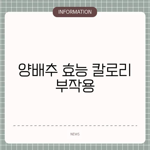 양배추 효능 칼로리 부작용