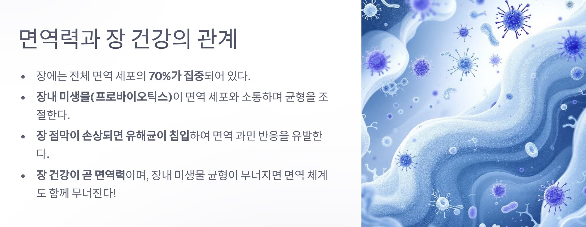 면역력과 장 건강과의 관계