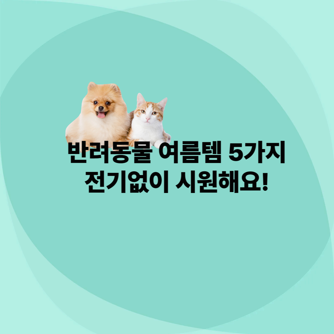 에어컨 없이 반려동물과 함께 시원한 여름 나기!