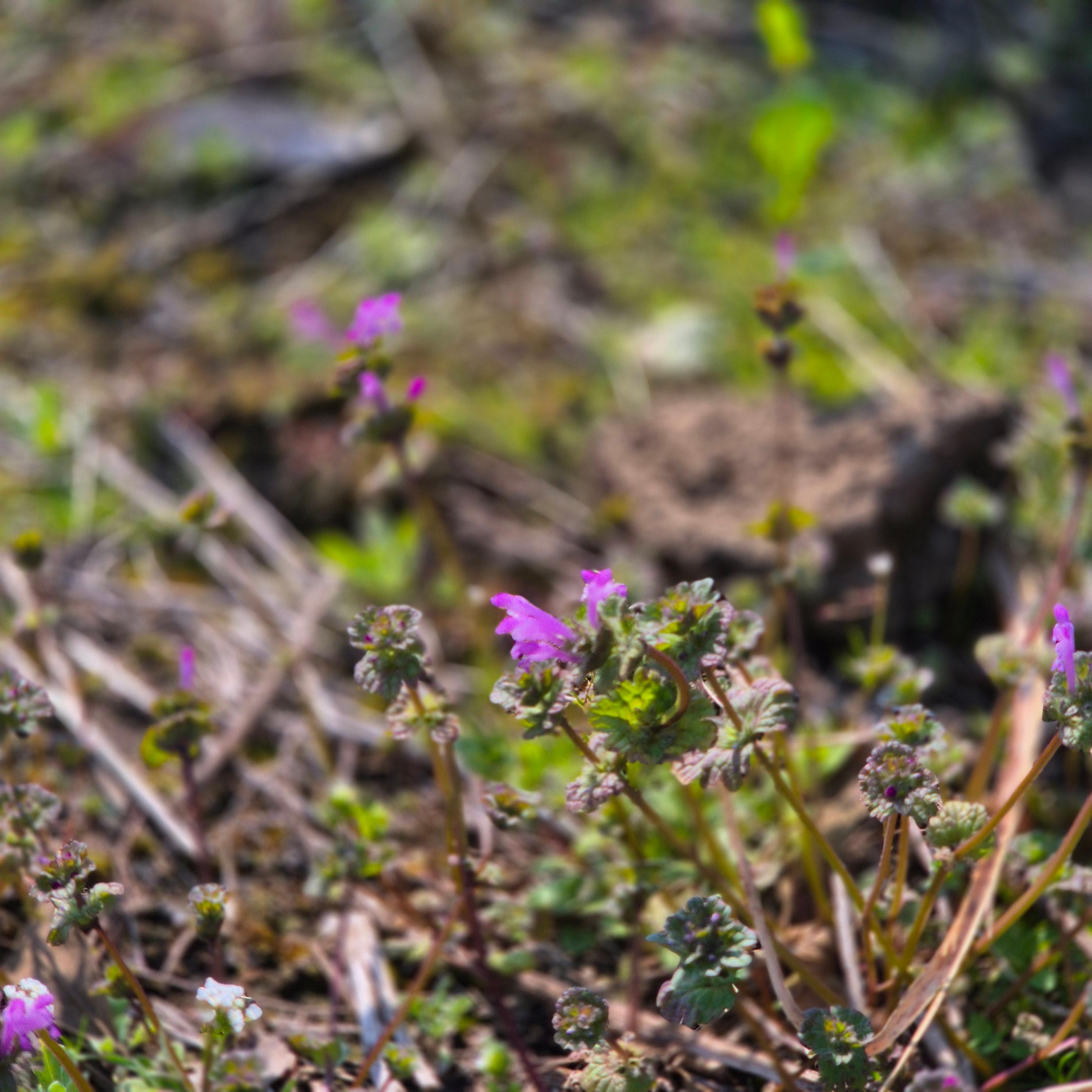 국내 여행지 베스트 10