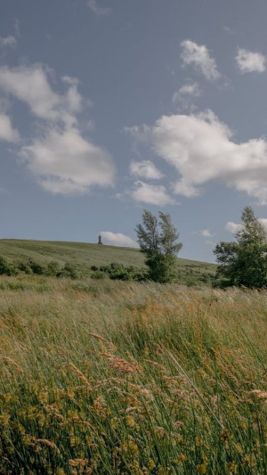 스마트폰 배경화면 잠금화면 자연 풍경 무료 다운로드