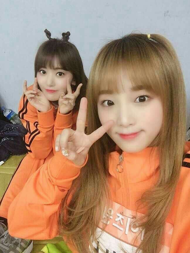아이즈원 프로듀스48 사진 모음 아이즈원 프로듀스48 사진 모음