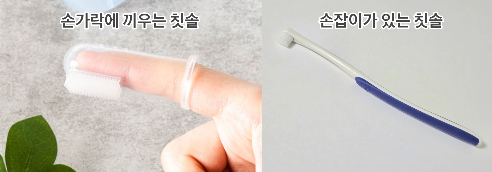 강아지 전용 칫솔 종류