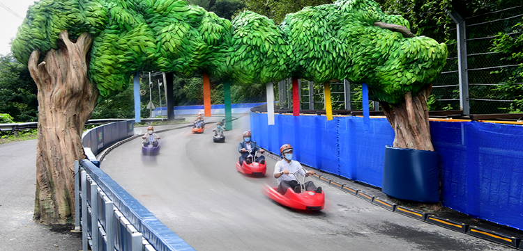 횡성 루지체험장