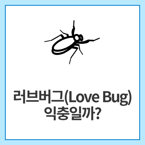 러브버그(Love Bug)-익충일까