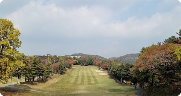 골드cc전경-3