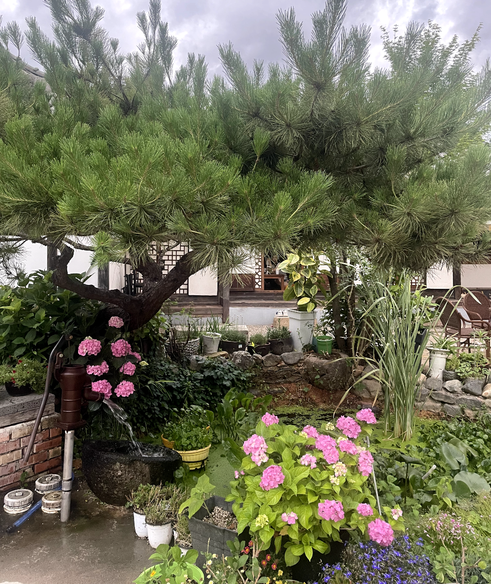 추석연휴 경주여행