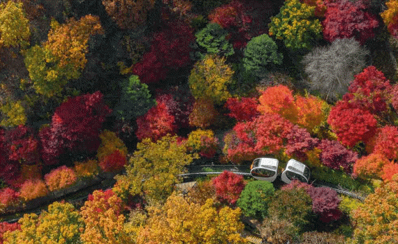 화담숲 모노레일