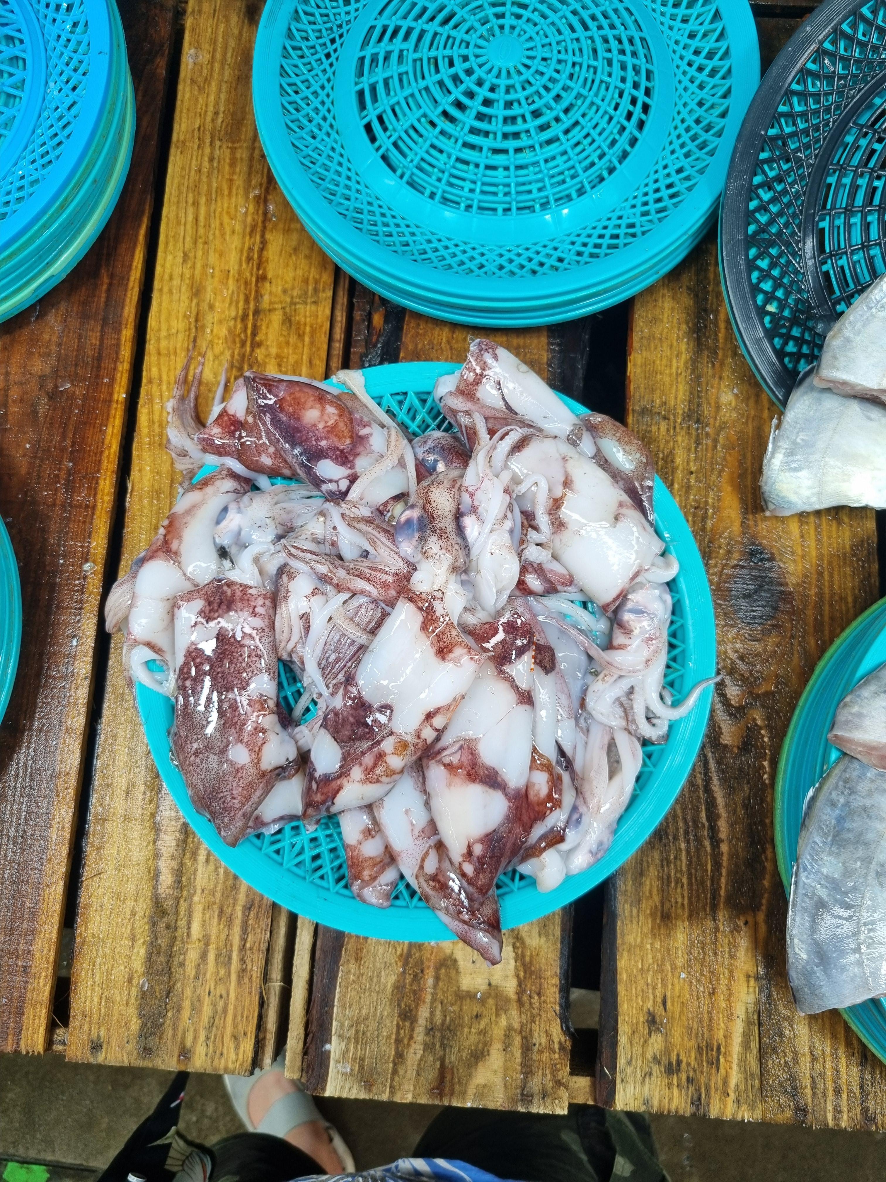 2024 모슬포 오일장