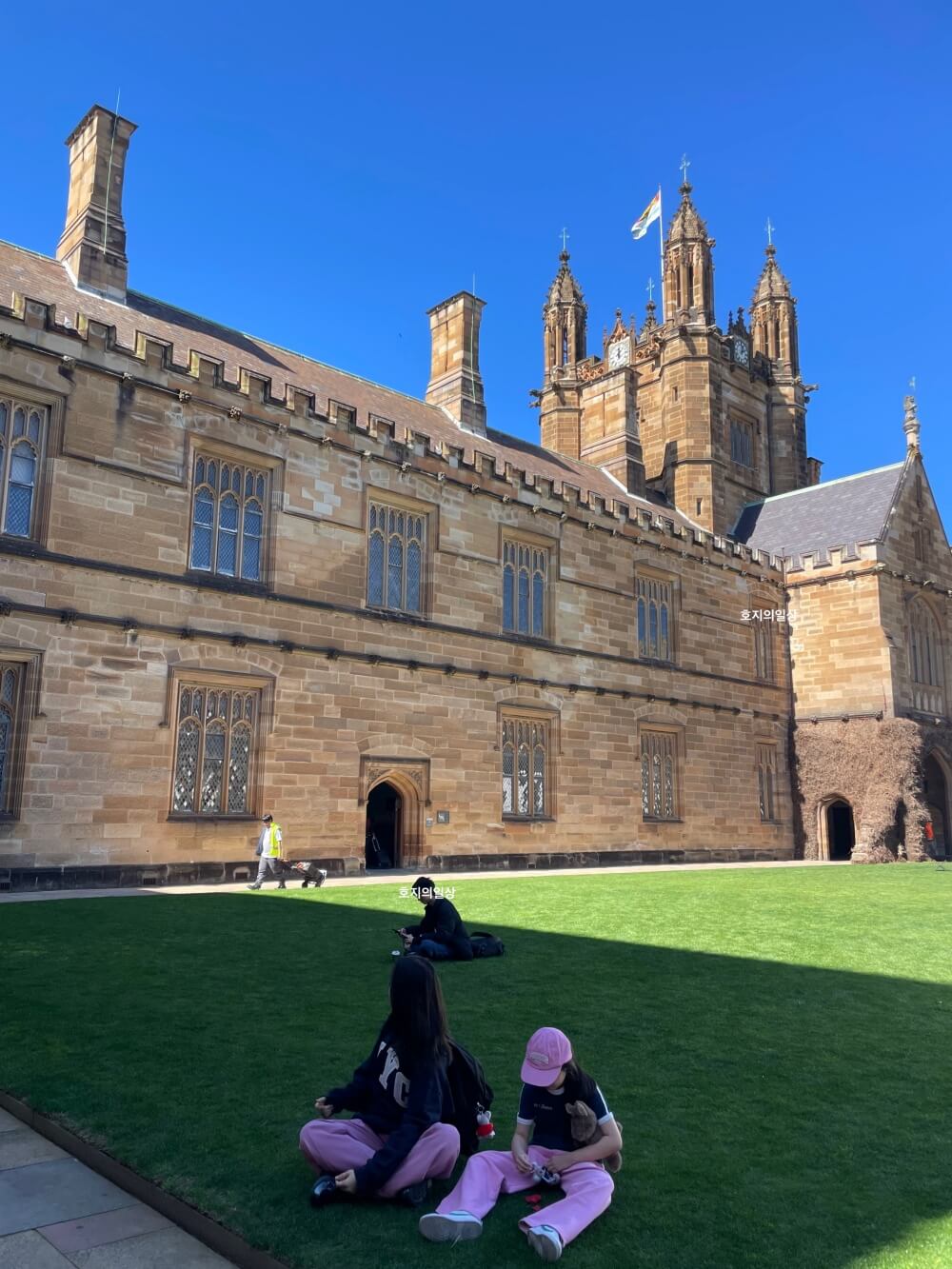 호주 시드니 3대 카페 캄포스 커피 - 시드니 대학교