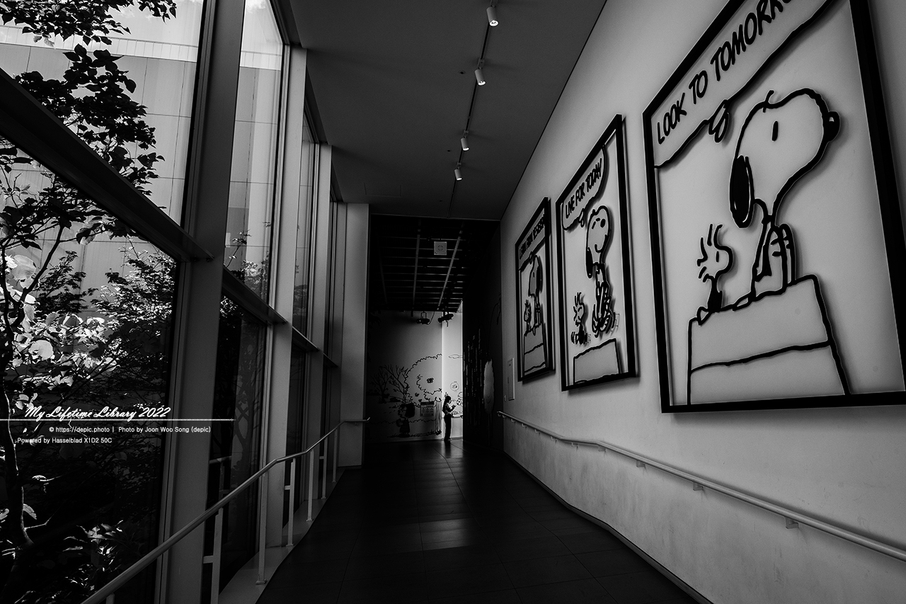 #제주 #스누피가든 #스누피 #2022제주여행