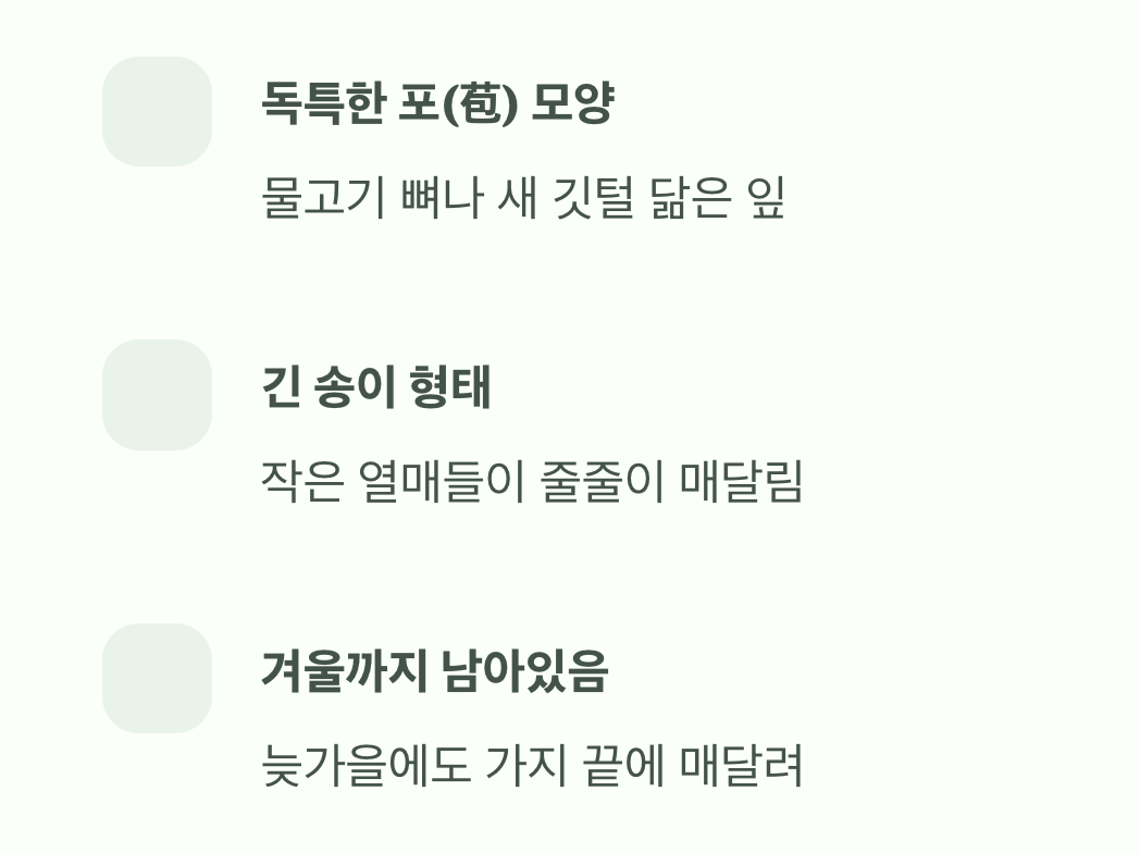 물고기 뼈 모양, 열매 송이