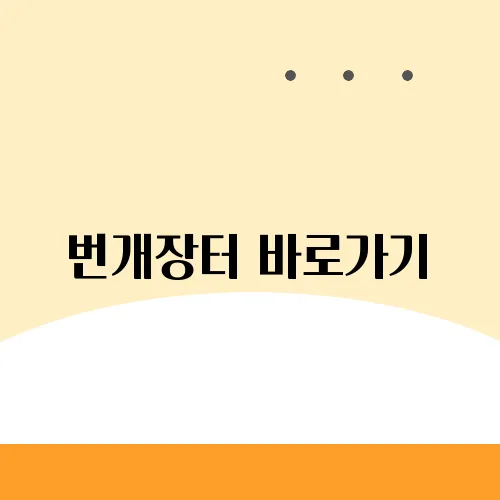 번개장터 바로가기