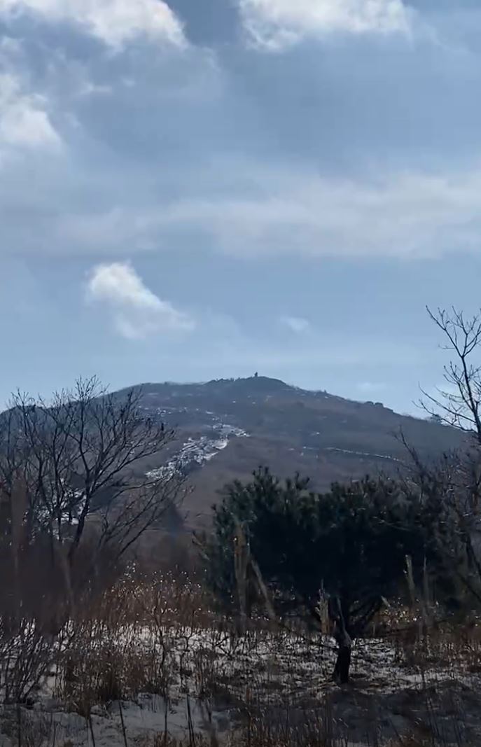 멀리서 보이는 영축산 봉우리
