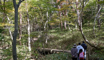 영실 어리목 코스