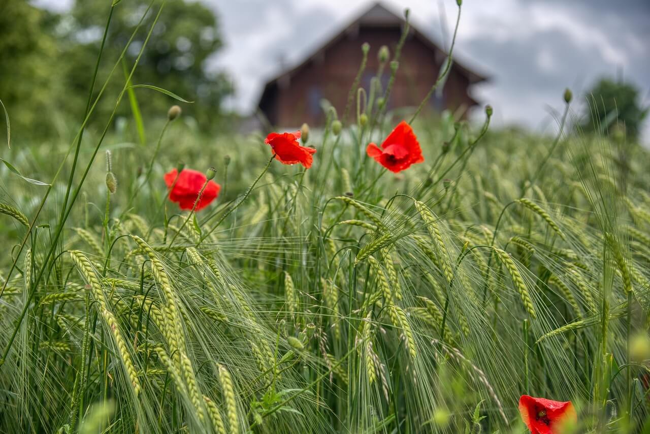 국민취업지원온라인