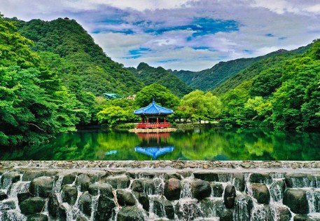 내장산-단풍축제
